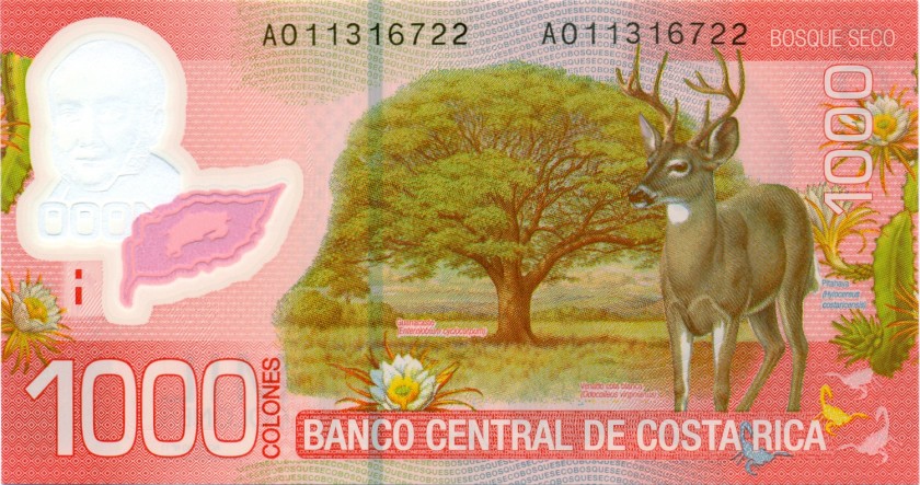 Costa Rica P274a 1.000 Colones 2009 UNC