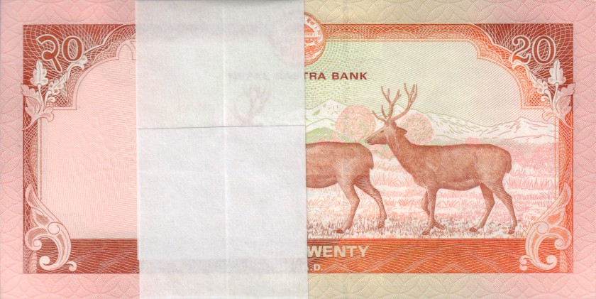 Nepal P78 20 Rupees Bundle 100 pcs 2020 UNC