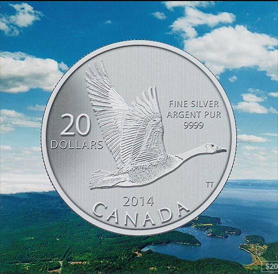 Canada 2014 20 $ Canada Goose