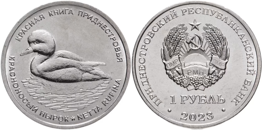 Transnistria 2023 Red-crested pochard UNC