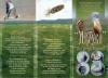 Ukraine 2013 Booklet Great Bustard