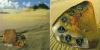 Lithuania mint set 2000. Proof like
